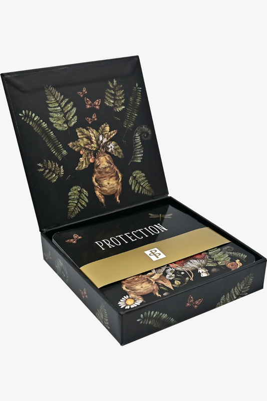 Everyday Spells for Busy Witches Insight Cards