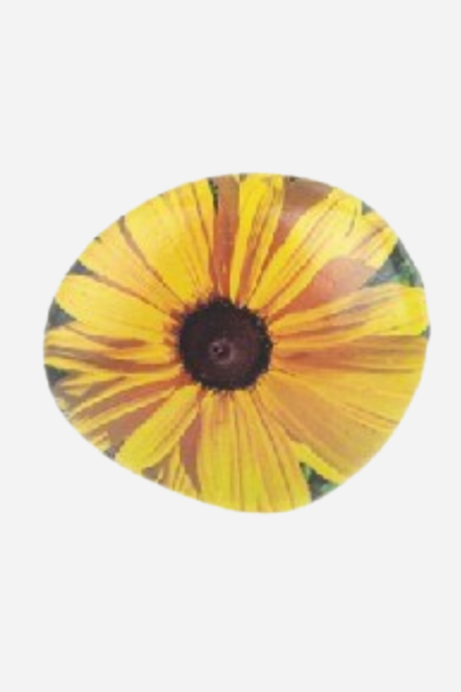 Flower Art Rocks