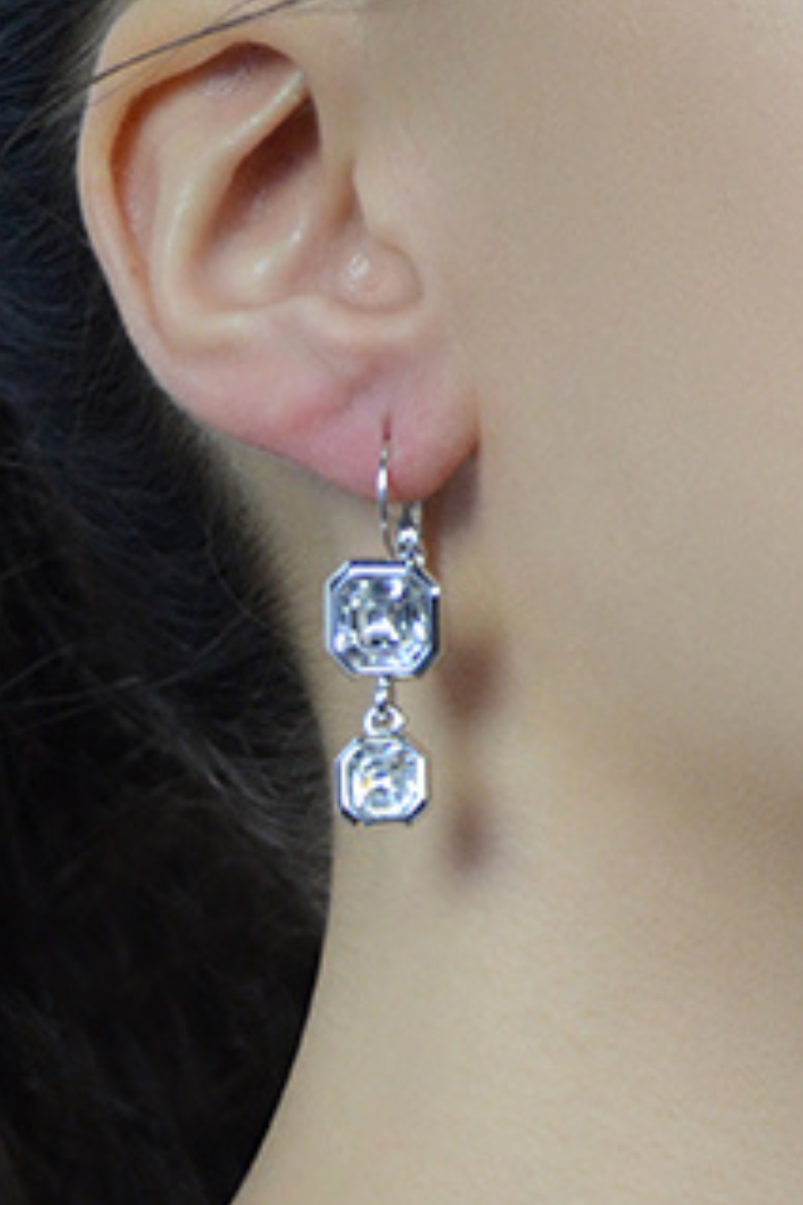 Collette Duo Euroback Earring