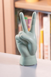 Hand Peace Sign