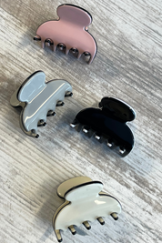 Small Resin Jaw