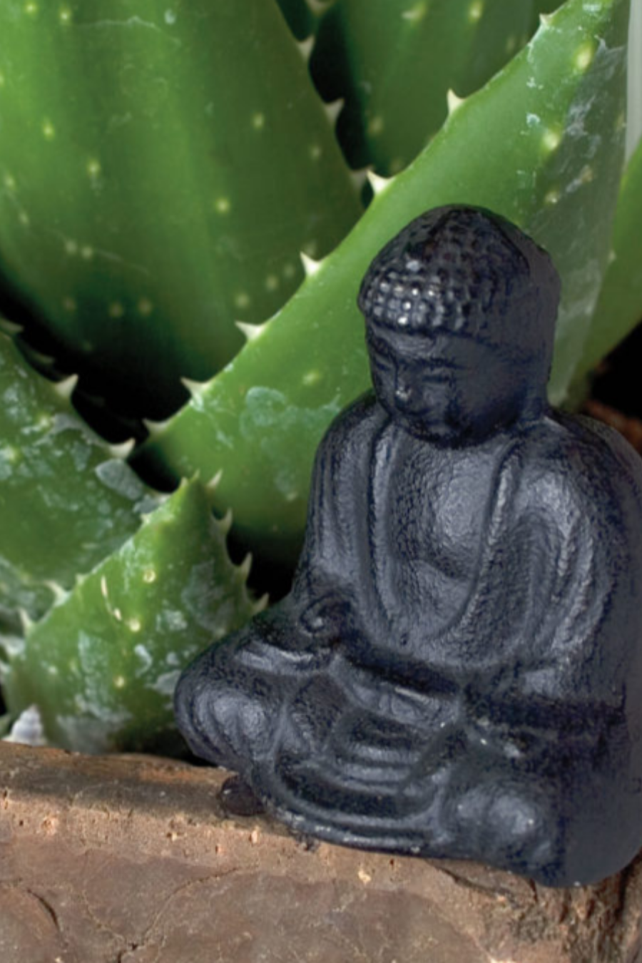 Small Cast Iron Sitting Buddha