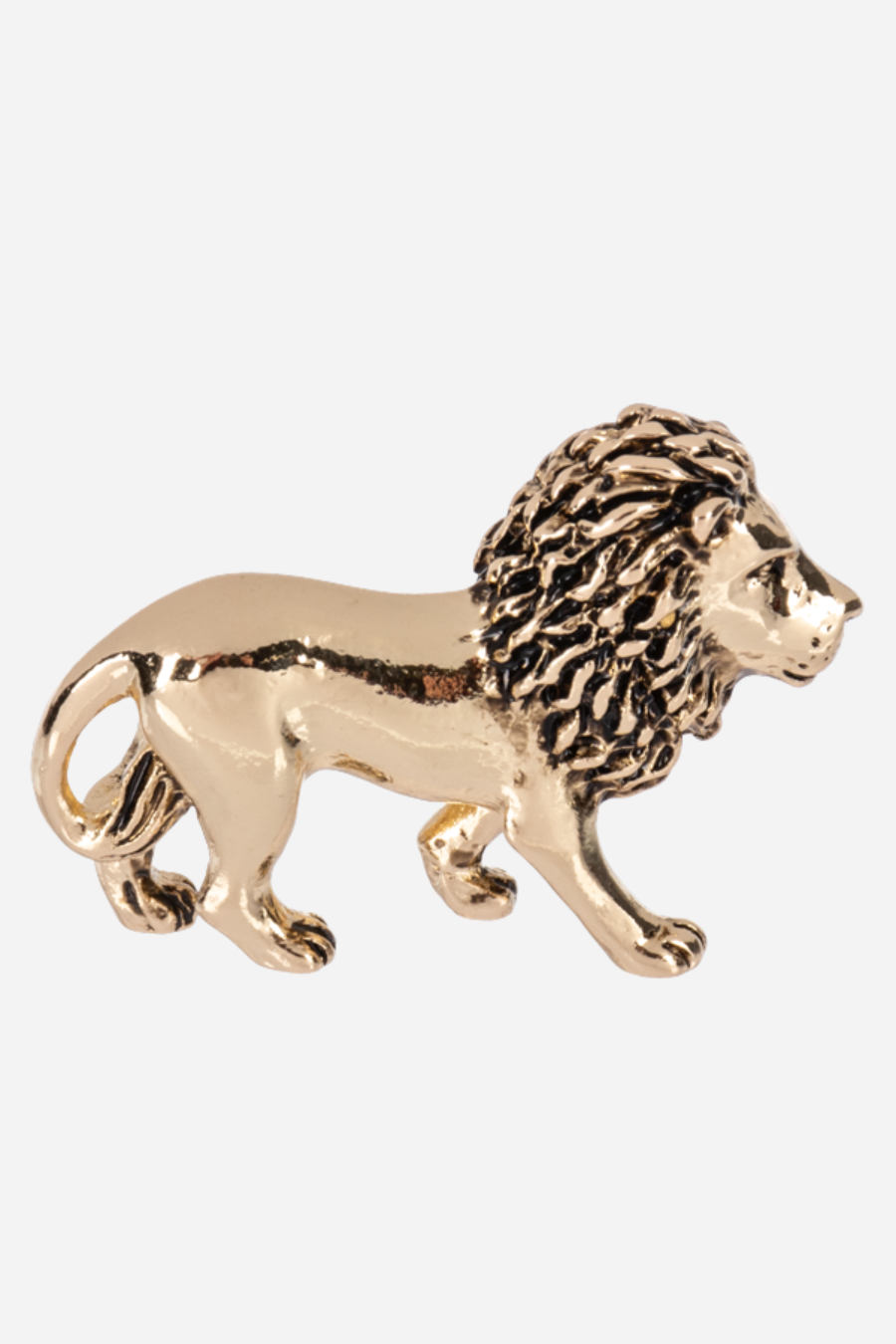 Be Brave & Courageous - Lion Charm