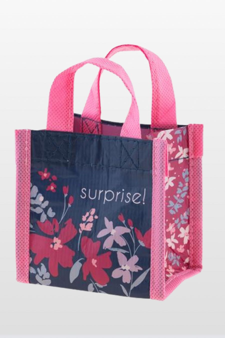 surprise.jpg